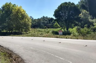 Terreno comercial à venda na Estrada Eleições De Ligação, Centro, Flores da Cunha