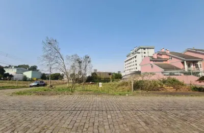 Terreno à venda na Rua Gelindo Zanrosso, Nossa Senhora da Saúde, Caxias do Sul