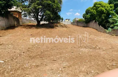 Terreno à venda na Rua Ásia, Parque Turistas, Contagem