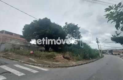 Terreno à venda na Rua Gil Diniz Júnior, Amazonas, Betim