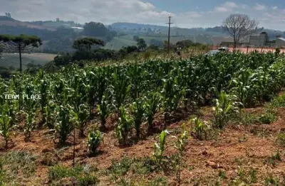 Terreno à venda no Ribeirão Fundo, Munhoz 