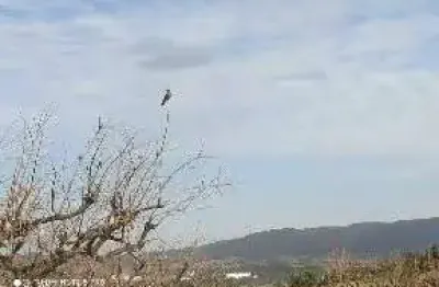 Terreno em condomínio para venda em jundiaí, distrito industrial