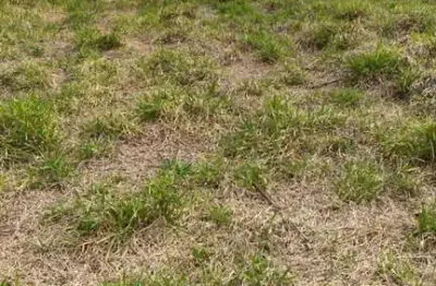 Terreno à venda na Área Rural, Área Rural de Tatuí, Tatuí