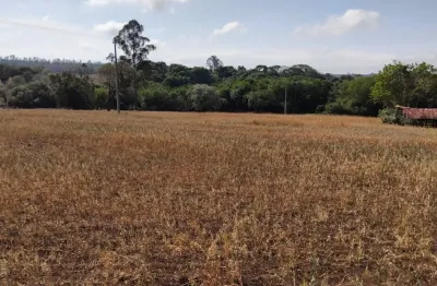 4 alqueires na castello branco, e muita terra para construir a chácara dos sonhos de sua família.