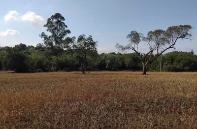 Sítio / chácara na beira da castello branco, a rodovia mais segura do interior de sp.