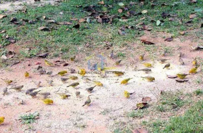 Chácara / sítio à venda na Área Rural de Bragança Paulista, Bragança Paulista 