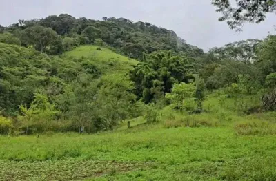 Terreno à venda no Centro, Cambuí 