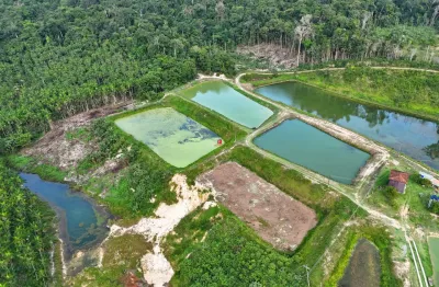 Fazenda com 1 sala à venda na Rua Taboca, 4, Zona Rural, Presidente Figueiredo
