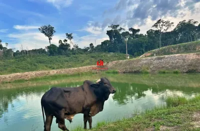 Fazenda com 1 sala à venda na Rua Abraão Cardoso, 4, Tarumã-Açu, Manaus