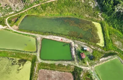 Fazenda à venda na Avenida Coronel Teixeira, 1, Ponta Negra, Manaus