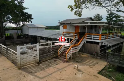 Fazenda iranduba na várzea de iranduba 1.800.000m² na várzea