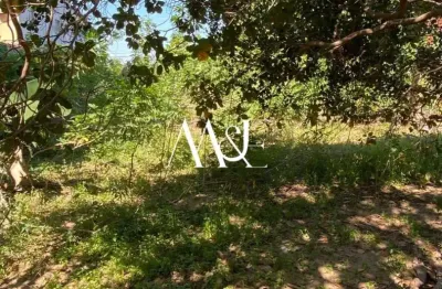 Lote parta alugar no parque 10 - conjunto shangrila - terreno plano - pronto para construir seu negocio - r$ 8.000,00