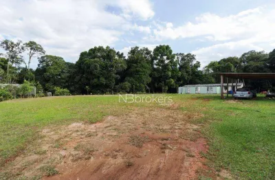 Chácara com 3 dormitórios à venda, 20000 m² por r$ 800.000,00 - área rural de são josé dos pinhais - são josé dos pinhais/pr