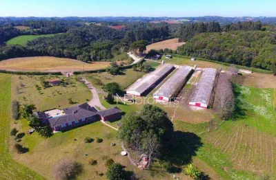 Oportunidade de investimento - grande área verde e infraestrutura em 59.362m²!