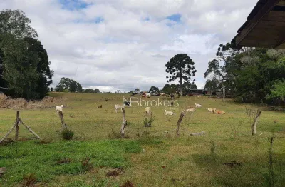 Chácara à venda, 43000 m² por r$ 990.000,00 - centro - araucária/pr