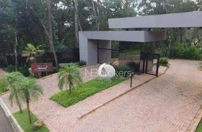 Terreno à venda, 704 m² por r$ 1.500.000,00 - santa felicidade - curitiba/pr