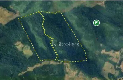 Terreno à venda na Rua Tatupeva, Tatupeva, Adrianópolis