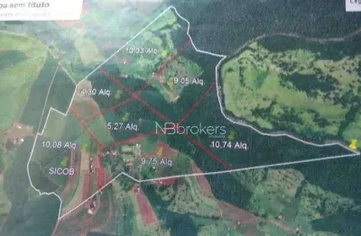 Área à venda, 354046 m² por r$ 2.900.000,00 - rio do salto - cascavel/pr