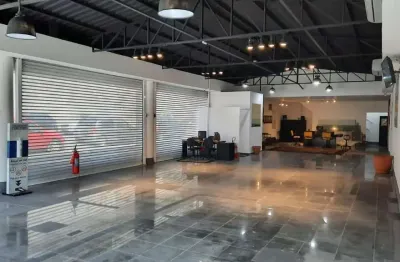 Locação de loja comercial no Morumbi, São Paulo-SP: 5 banheiros, 15 vagas de garagem e 250m² de área
