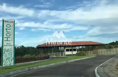 Lote / terreno de bairro para vender no bairro br em conceição do jacuípe