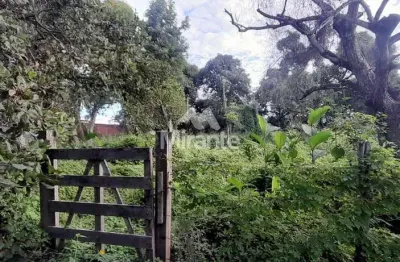 Lote / terreno de bairro para vender no bairro eucalipto em feira de santana