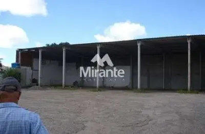 Galpão / depósito / armazém para alugar no bairro santa mônica em feira de santana