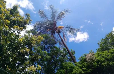Casa à venda no São Gonçalo, Contagem 