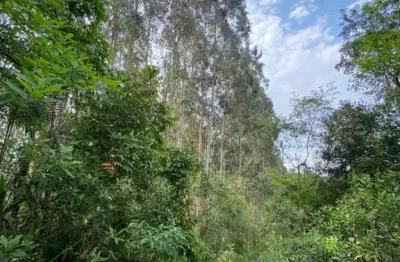Chácara / sítio à venda na Roseira, Colombo 
