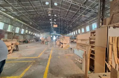 Galpão para aluguel, 10 vagas, baeta neves - são bernardo do campo/sp