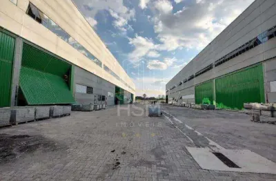 Galpão para aluguel, 7 vagas, parque jaçatuba - santo andré/sp