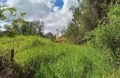 Terreno à venda na rodovia paulo virgínio, paiol, guaratinguetá por r$ 100.000