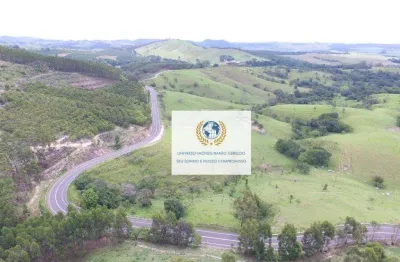 Chácara / sítio à venda no Fazenda Tamburi, Amparo 