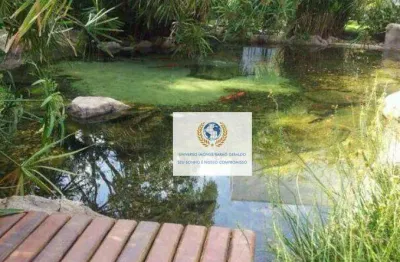 Terreno à venda, 3300 m² por r$ 2.500.000,00 - alphaville - campinas/sp