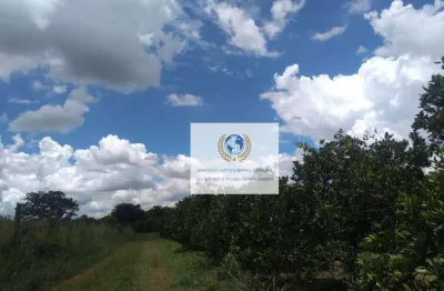 Área à venda, 10000 m² por r$ 23.000.000,00 - vila industrial - campinas/sp