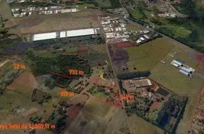 Área à venda, 72809 m² por r$ 10.500.000,00 - betel - paulínia/sp