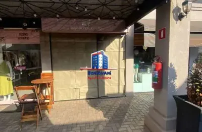 Sala comercial para alugar na Avenida Belvedere, Belvedere Terra Nova, São José do Rio Preto