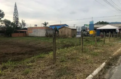 Terreno comercial para alugar na Rua Ametista, 65, Araçatuba, Imbituba