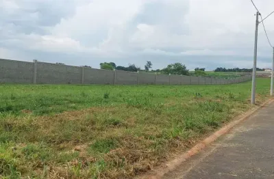 Terreno à venda na Avenida Alexandre Cazellato, 2210, Betel, Paulínia