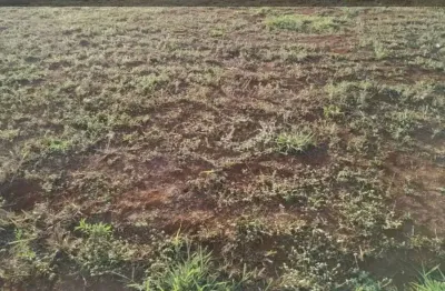 Terreno à venda na Rua Sebastião Cardoso, 168, Parque Brasil 500, Paulínia
