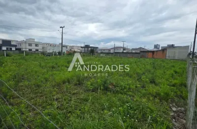 Lotes 300 m², financiavel , guarda do cubatão palhoça! r$ 290 mil