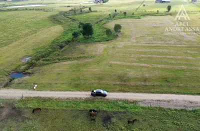 Chácara / sítio à venda na Estrada Da Lage, 2035, São Luiz do Purunã, Balsa Nova