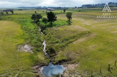 Chácara / sítio à venda na Estrada Da Lage, 2035, São Luiz do Purunã, Balsa Nova