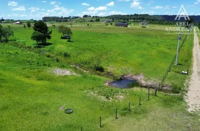 Chácara / sítio à venda na Estrada Da Lage, 2035, São Luiz do Purunã, Balsa Nova