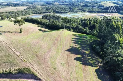 Chácara / sítio à venda na Estrada  Municipal Teodoro Durau, Rodeio Santo Antônio, Balsa Nova