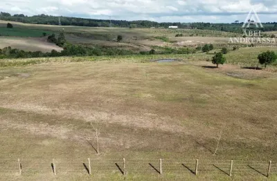 Chácara / sítio à venda na Estrada Da Lage, 2035, São Luiz do Purunã, Balsa Nova