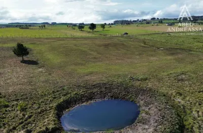 Chácara / sítio à venda na Estrada Da Lage, 2035, São Luiz do Purunã, Balsa Nova
