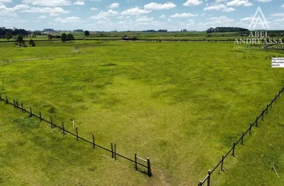 Chácara / sítio à venda na Estrada Da Lage, 2035, São Luiz do Purunã, Balsa Nova