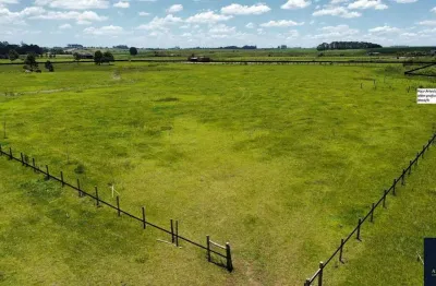 Chácara / sítio à venda na Estrada Da Lage, 2035, São Luiz do Purunã, Balsa Nova