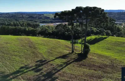 Chácara / sítio à venda na Estrada  Municipal Teodoro Durau, Rodeio Santo Antônio, Balsa Nova