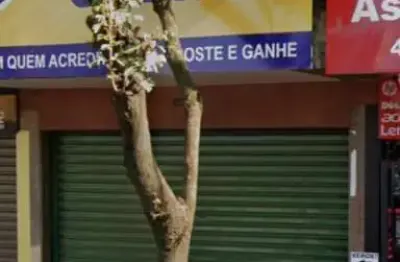 Sala comercial para locação - novo centro - localização estratégica